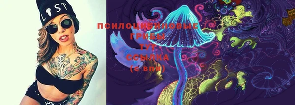 МДПВ Горнозаводск